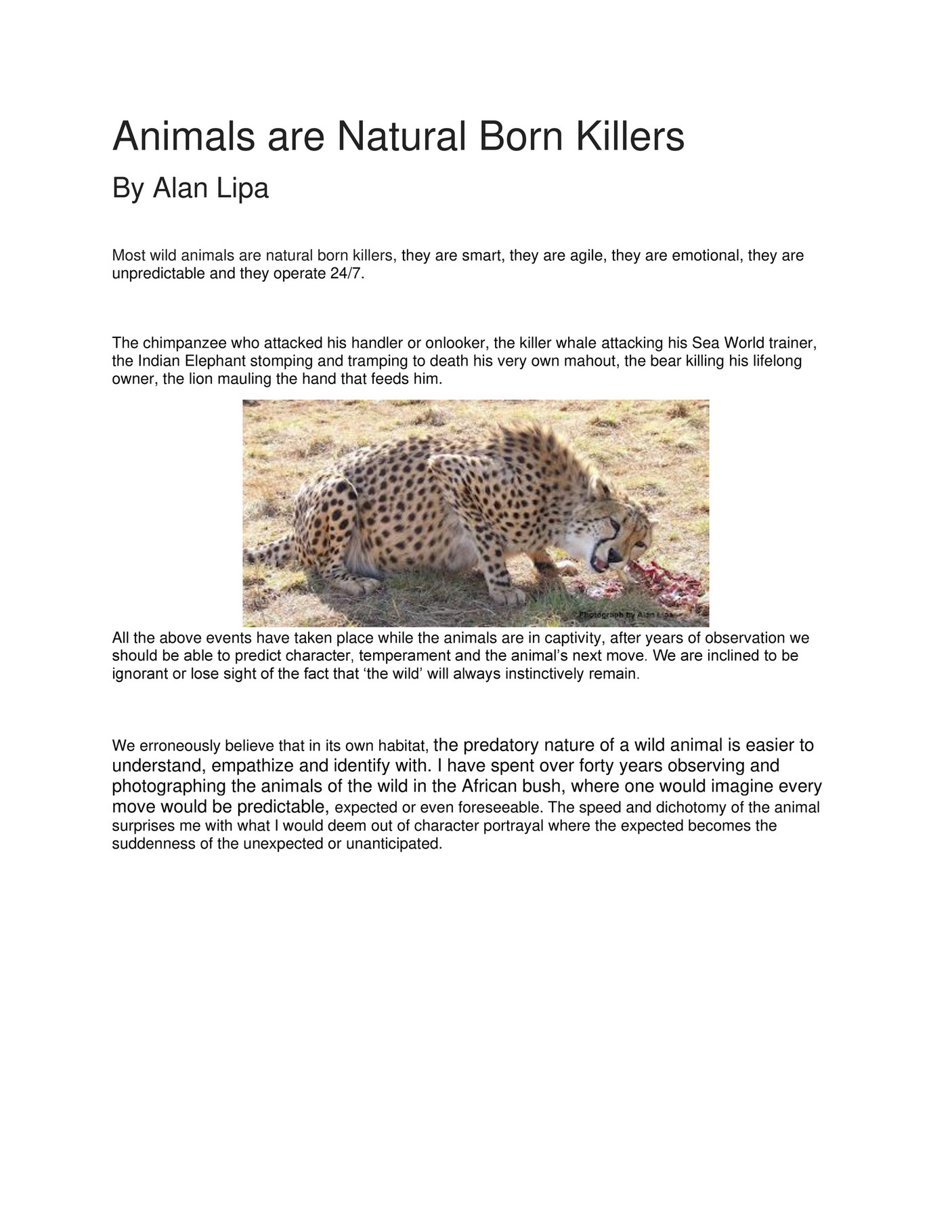 Wild Killers: Discover The Animals That Prey On Cows - l1sci0v