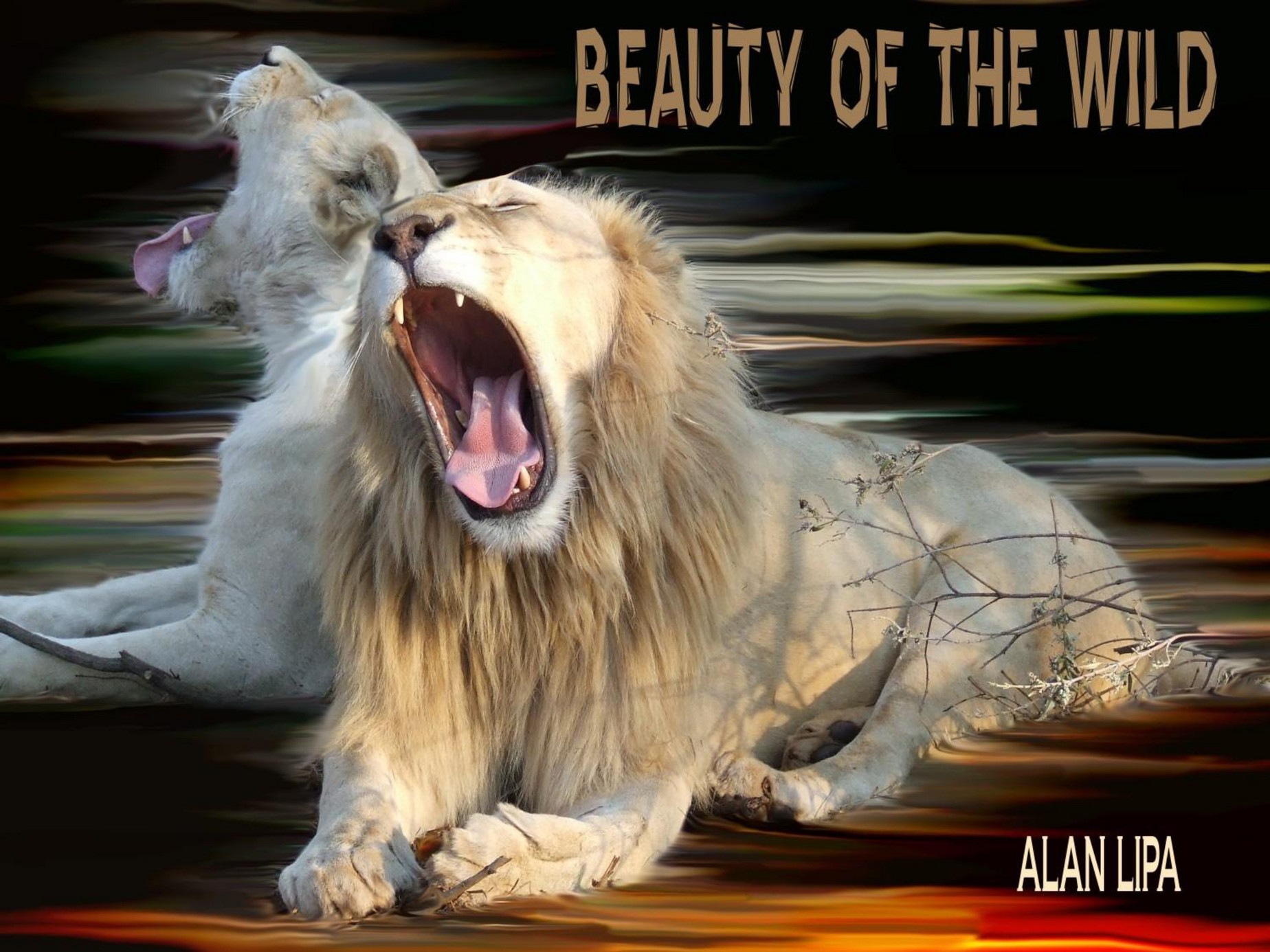 Alan Lipa publications - Beauty of the Wild - Page 1 - Created with ...