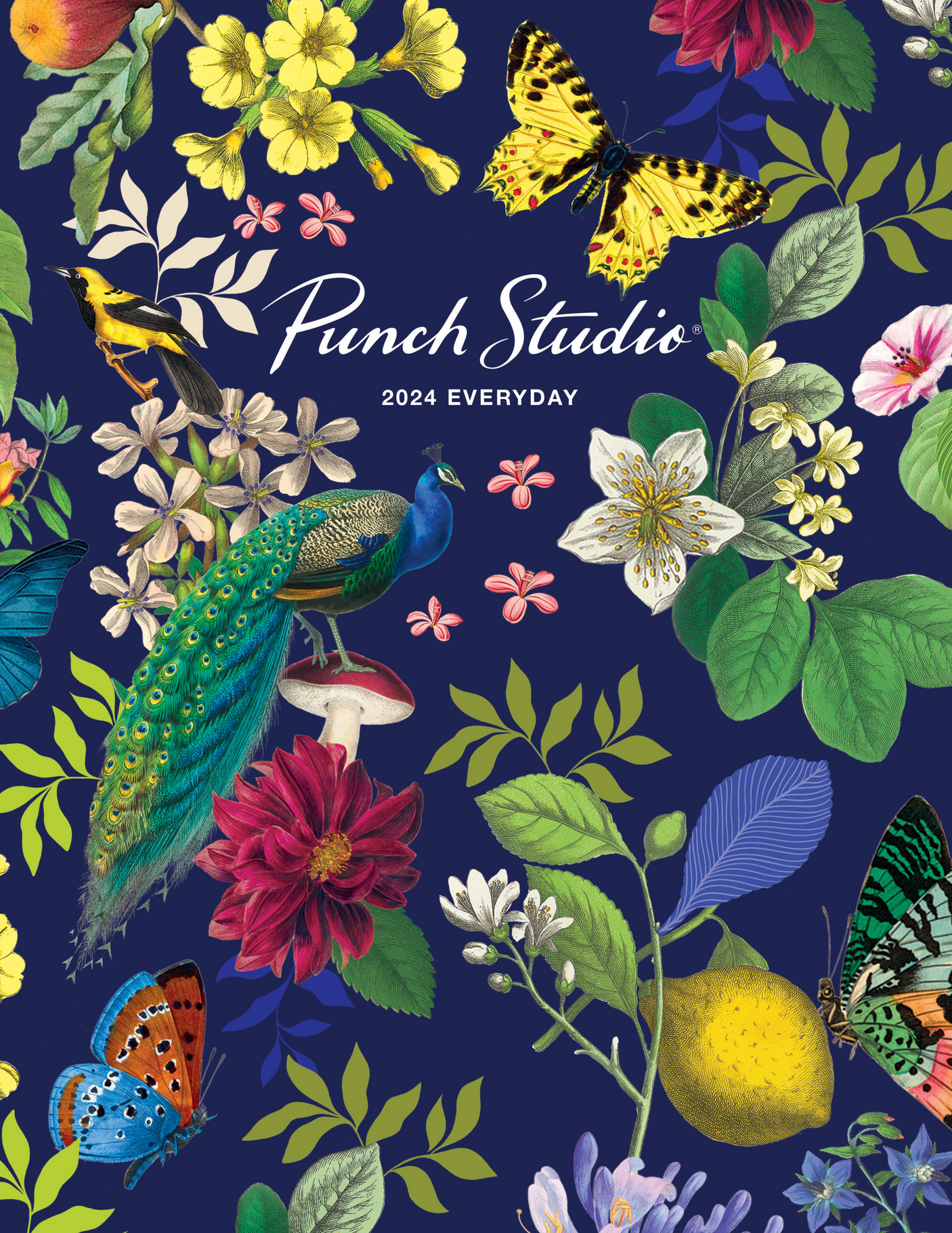 Harper Group Punch Studios ED 2024 catalog Page 1