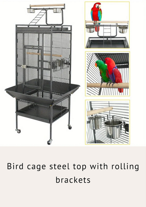 FE - Tail Wagging Essentials - Page 1