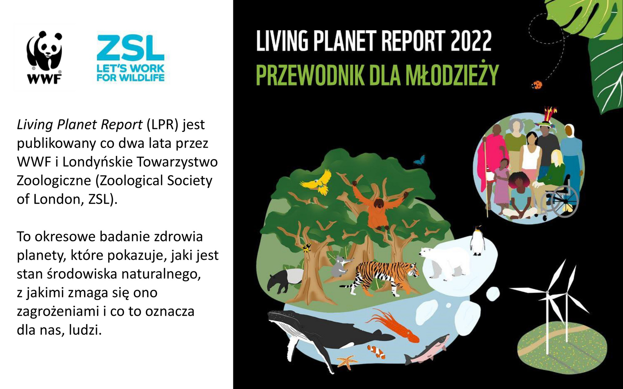 WWF Poland - Living Planet Report 2022 Dla Młodzieży - Strona 2