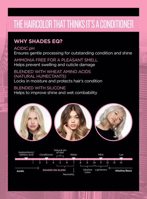 SalonCentric Canada The_Perfect_Blonde_Guide Page 4
