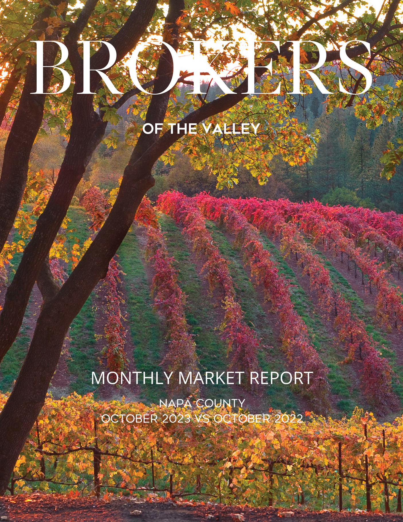 Coldwell Banker BOV October 2023 MARKET REPORT_Napa County Page 2