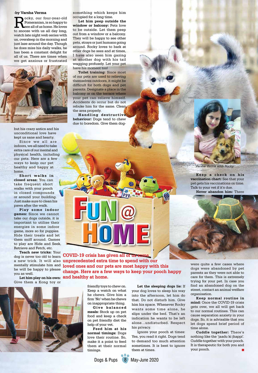 Magazine - Dogs & Pups - Cats & Kittens Magazine, May-June-2020 - Page 10-11