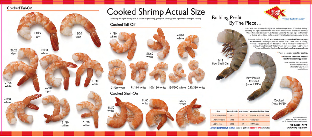 Shrimp Size Chart