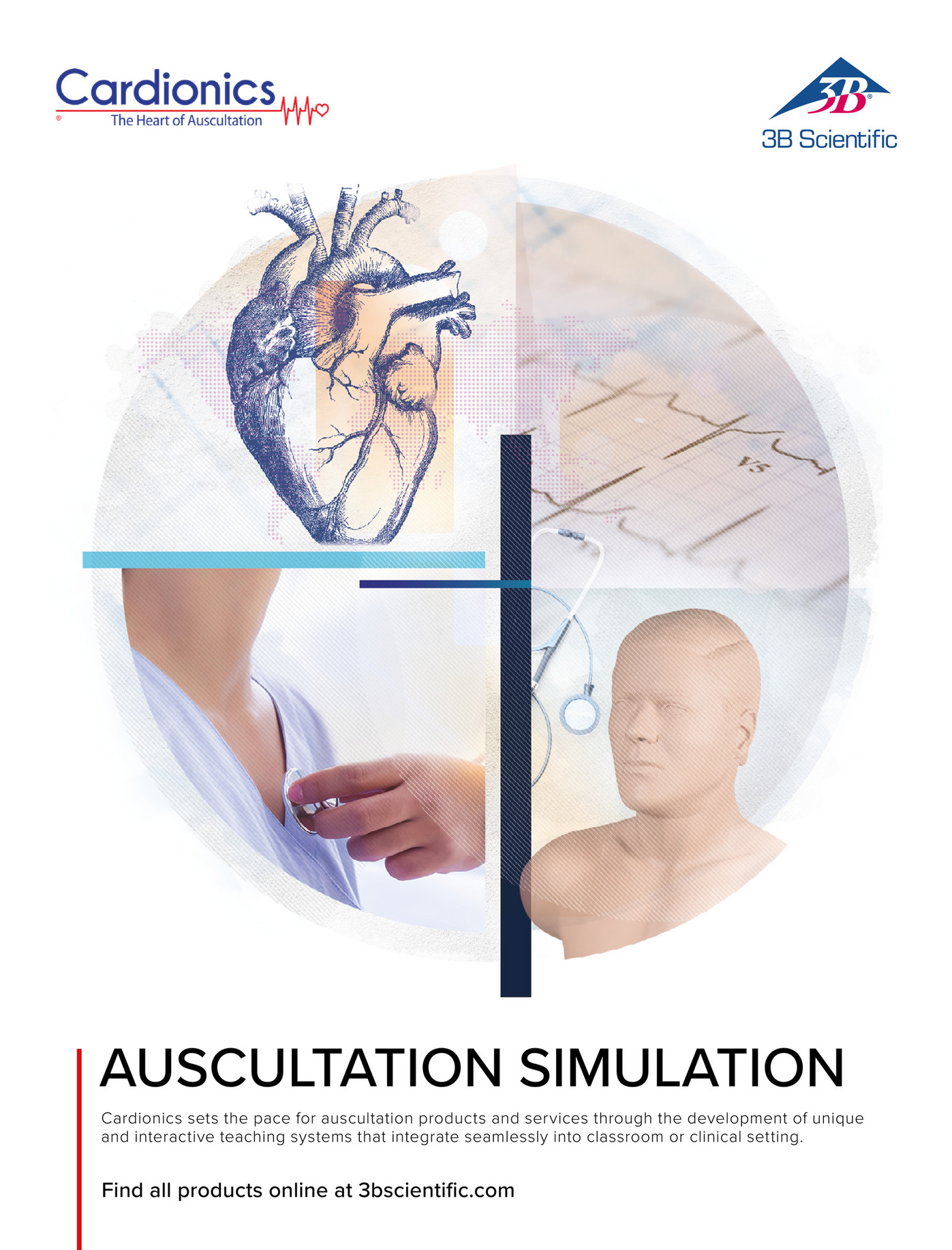 3B Scientific - Cardionics Brochure Simulation - English - Page 2-3