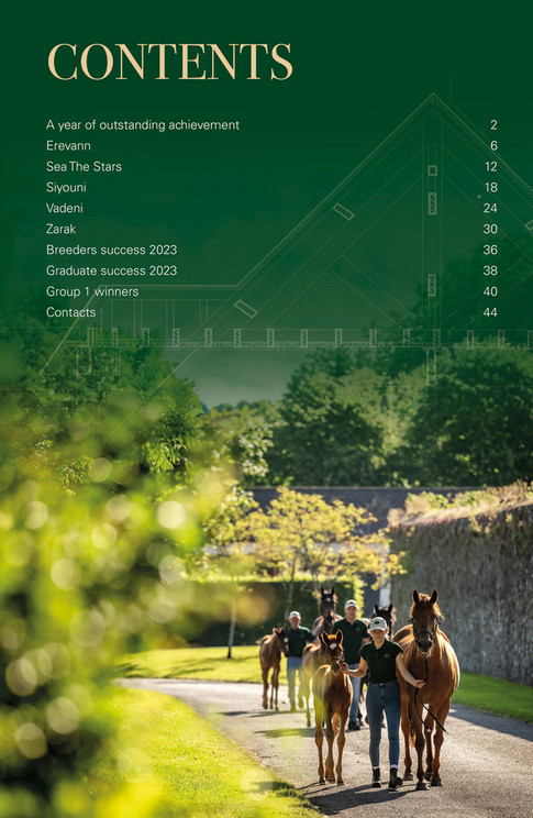 H H The Aga Khan S Studs 2024 Brochure EN Page 2 3   635f892d A945 4f00 894e 9bf9bfb41064 At600 