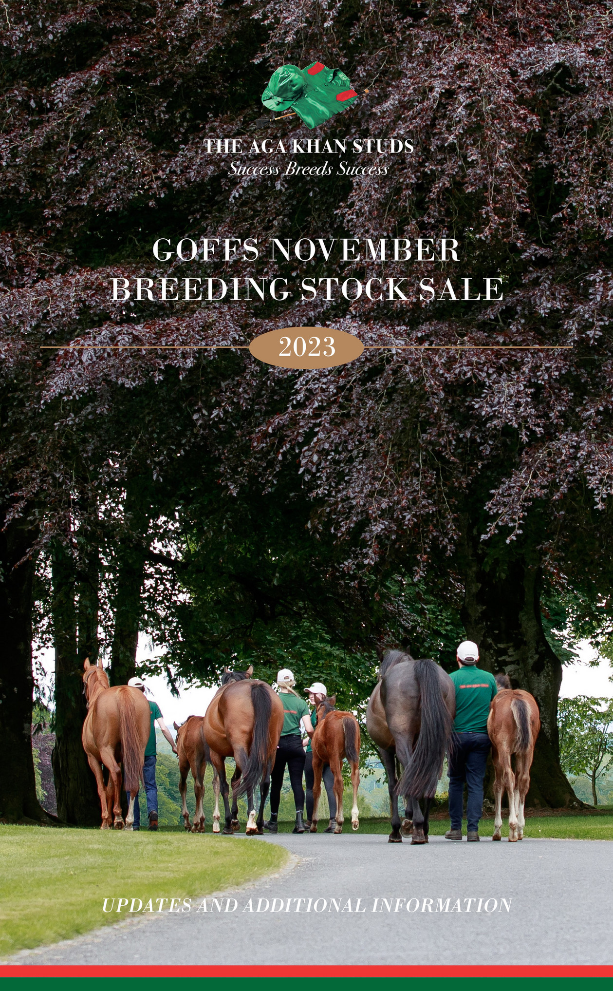 H.H. the Aga Khan's Studs 2023 Goffs November Sale Page 1