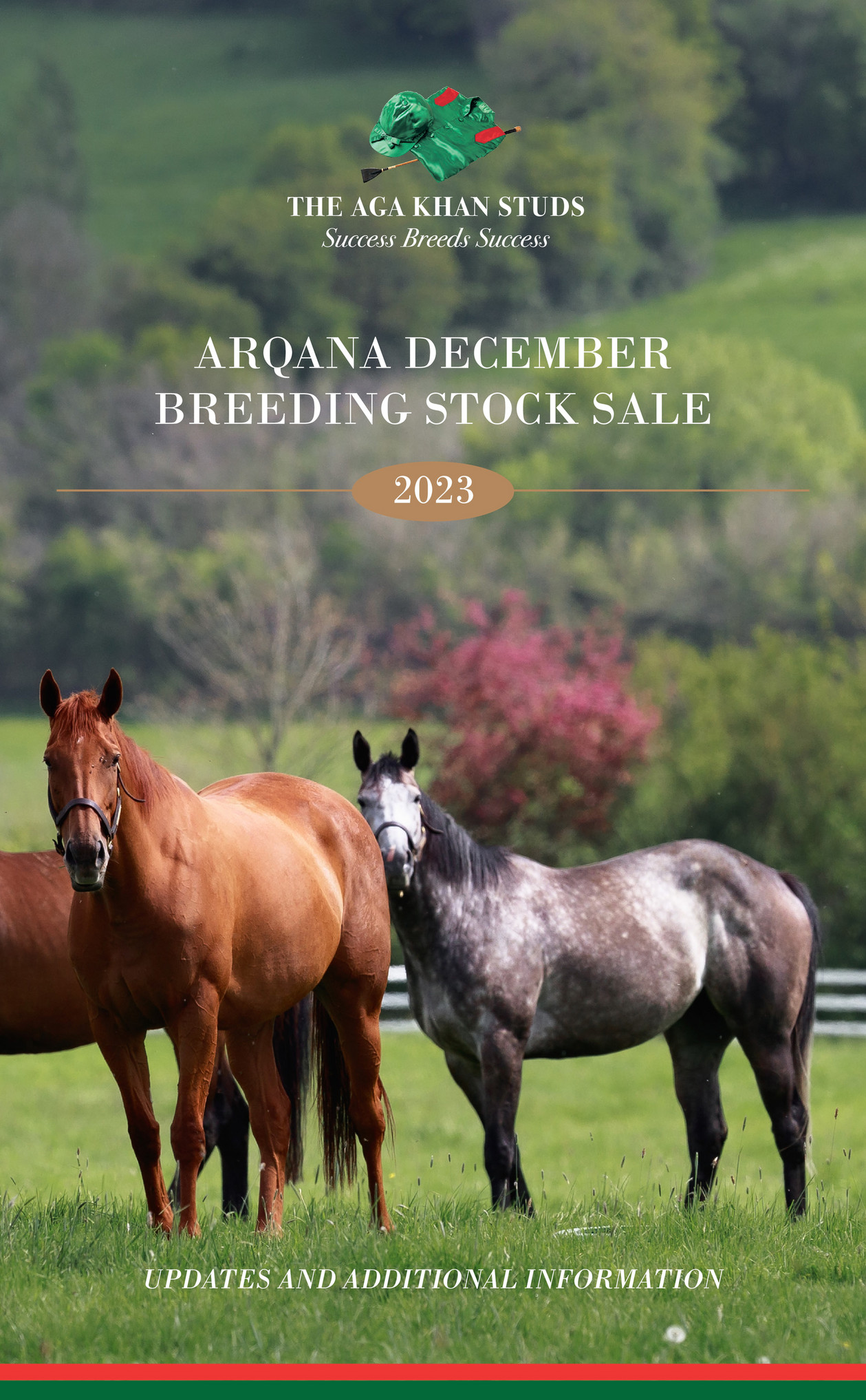 H.H. The Aga Khan's Studs - 2023 Arqana December Breeding Stock Sale ...