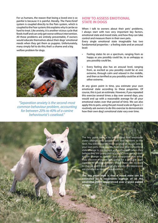 Nordic Pet Food Events AS petxpert_magazine_issue_6 Page 45