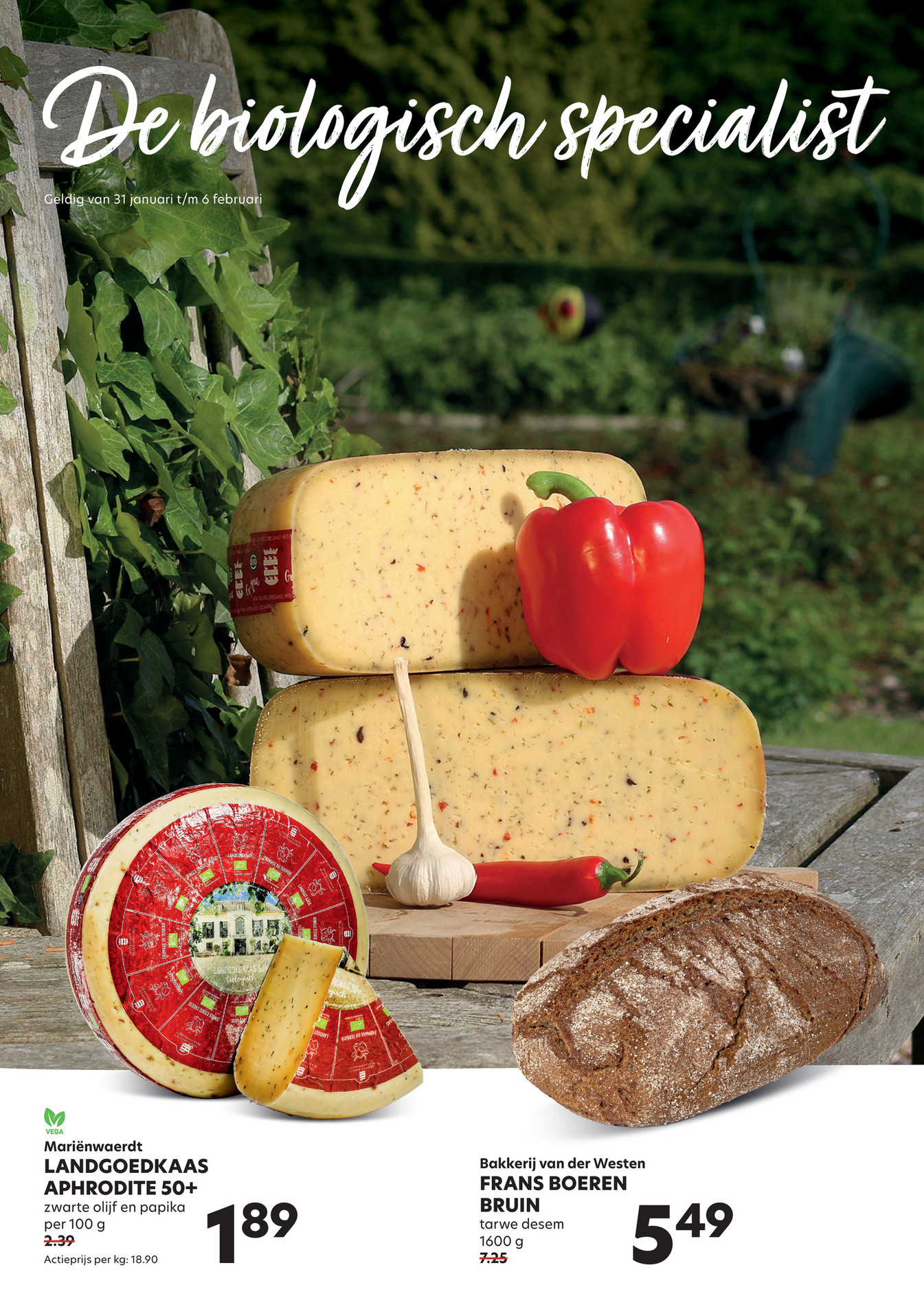 Udea BV Udea folder week 5 2024 Page 1