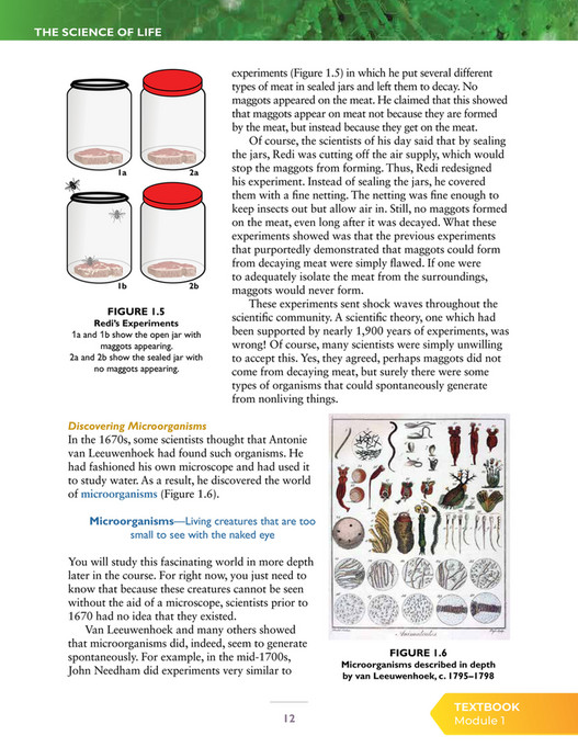 apologia biology experiment 4.1