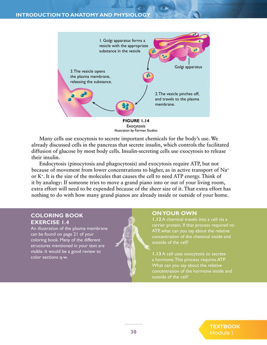 Apologia educational ministries exploring creation with advanced