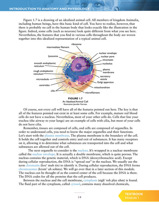 Apologia Educational Ministries - Exploring Creation with Advanced ...