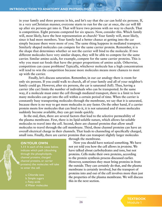 Apologia Educational Ministries - Exploring Creation with Advanced ...