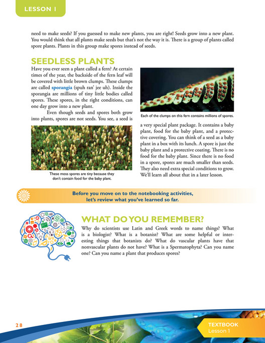 Apologia educational ministries exploring creation with botany