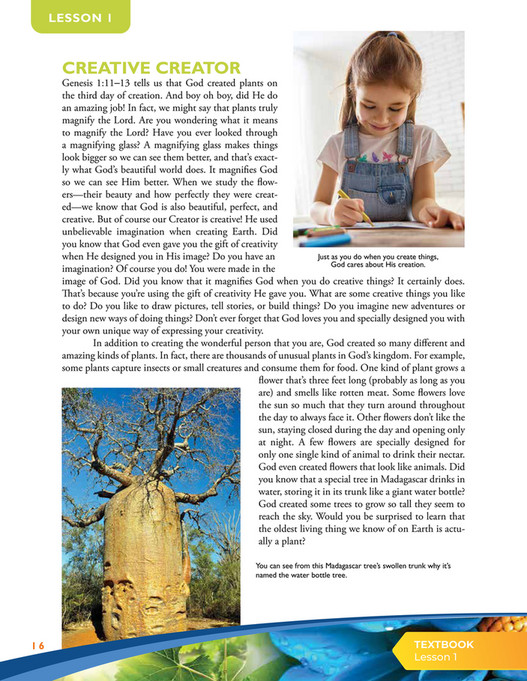 Apologia educational ministries exploring creation with botany