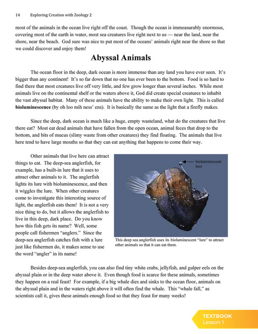 Apologia Educational Ministries - Exploring Creation With Zoology 2 