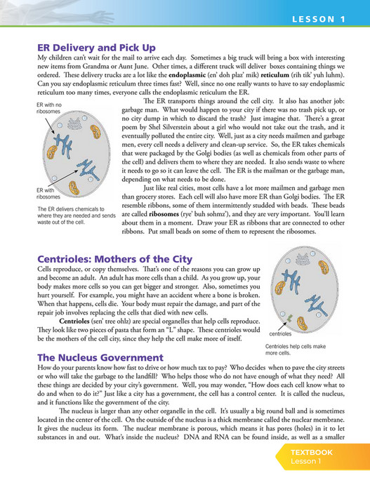 Apologia Educational Ministries - Exploring Creation with Anatomy and ...