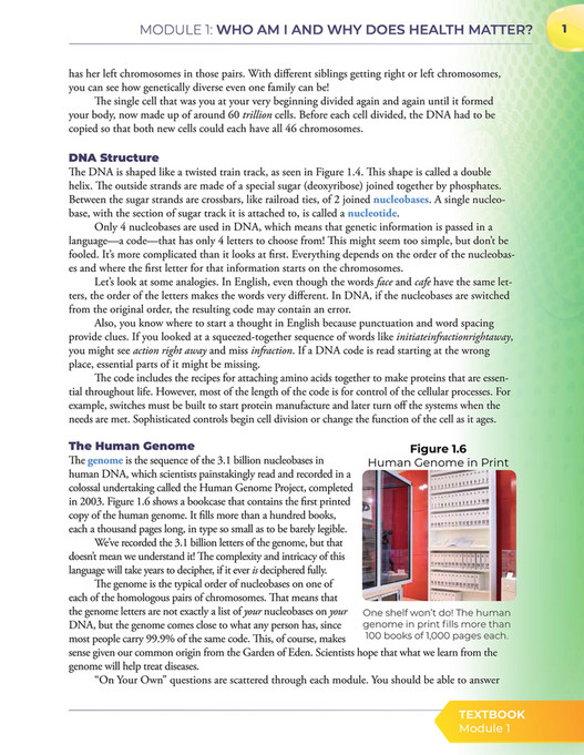 Apologia Exploring Creation With Health And Nutrition