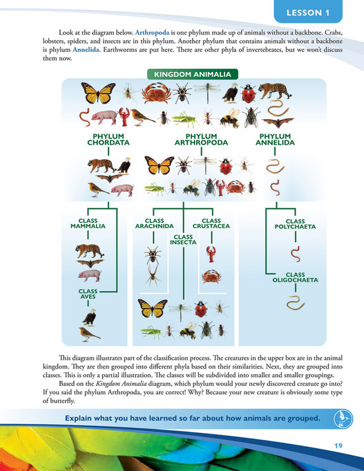 Apologia Educational Ministries - Exploring Creation With Zoology 1 ...