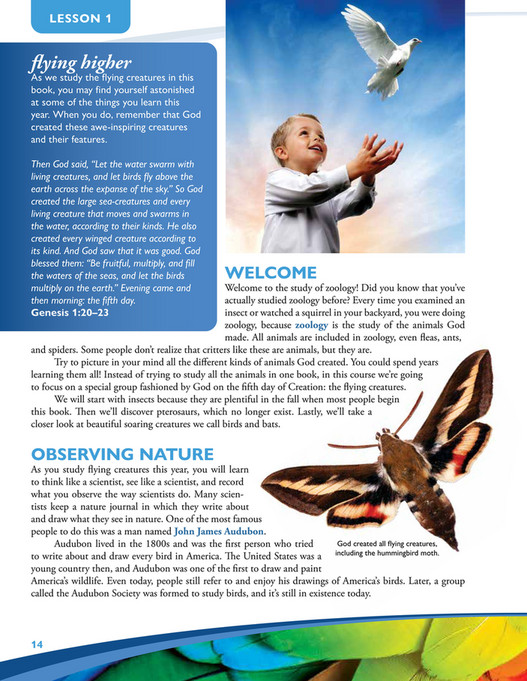 Apologia Educational Ministries - Exploring Creation With Zoology 1 ...