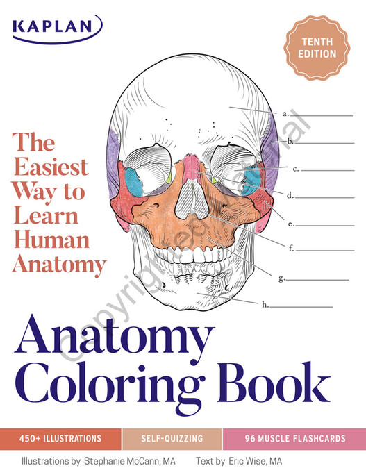 Apologia Educational Ministries Kaplan Anatomy Coloring Book Sample Apologia educational ministries kaplan anatomy coloring book sample