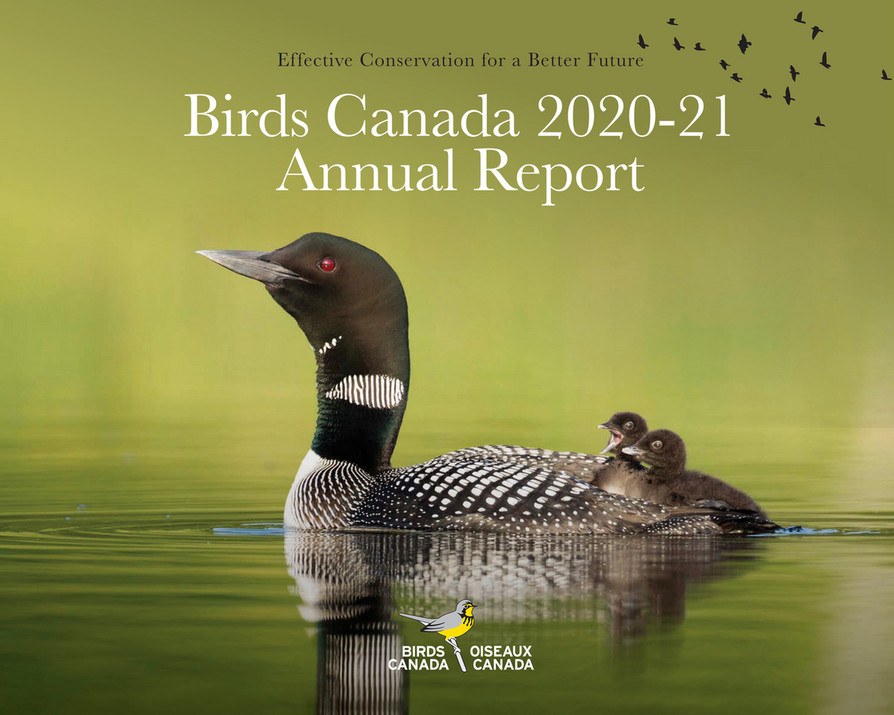 Birds Canada - 21-3047-Birds Canada_2021_Annual_Report - Page 1