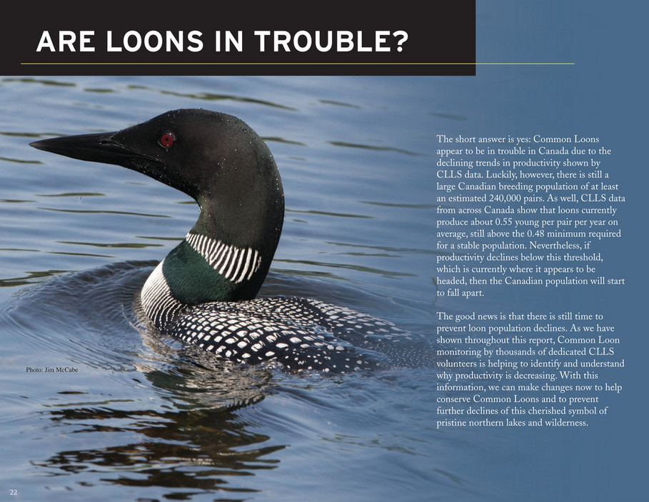 Birds Canada - CLLS-40-yr-report-FINAL-EN - Page 23
