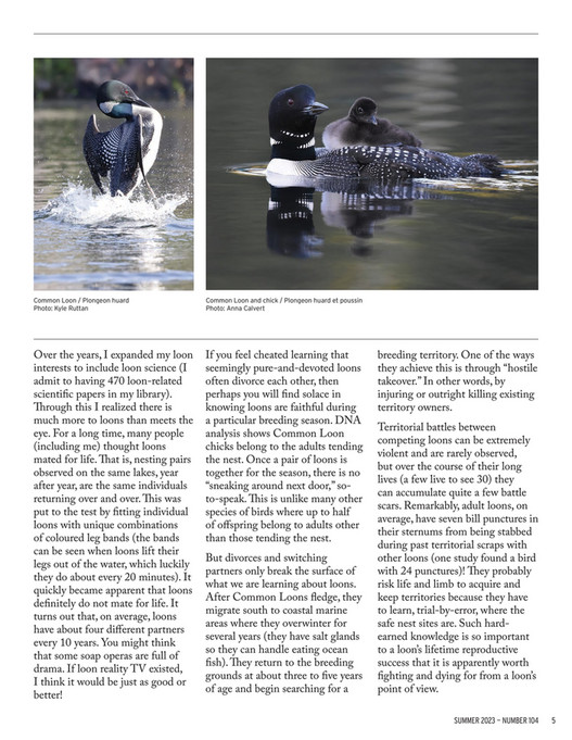Loon Reality Birds Canada - BirdWatch_Canada_Summer_2023_On The Watch - Page 1