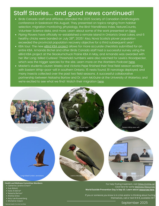 Amy Routley Birds Canada - September Wellness Newsletter 2025 - Page 1