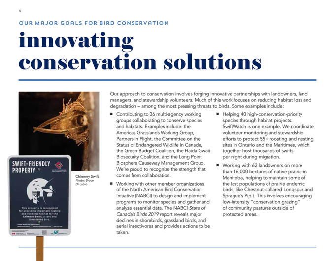 Birds Canada - AnnualReport2019 - Page 1