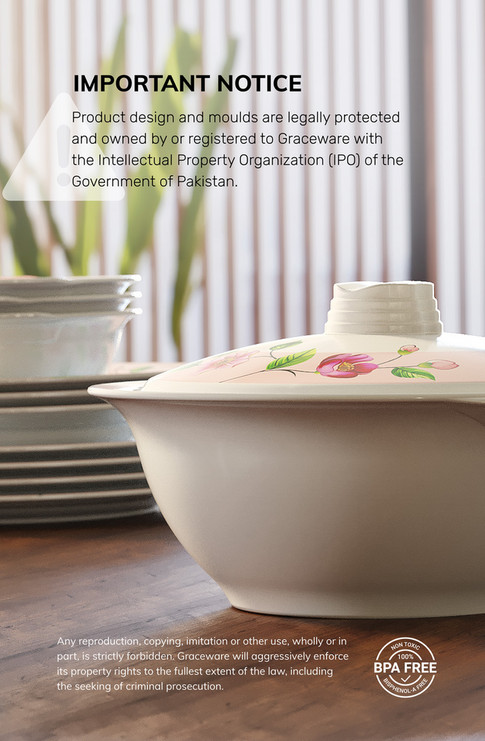 Graceware - Publications - DELUXE Dinnerware - ECatalog - Page 2