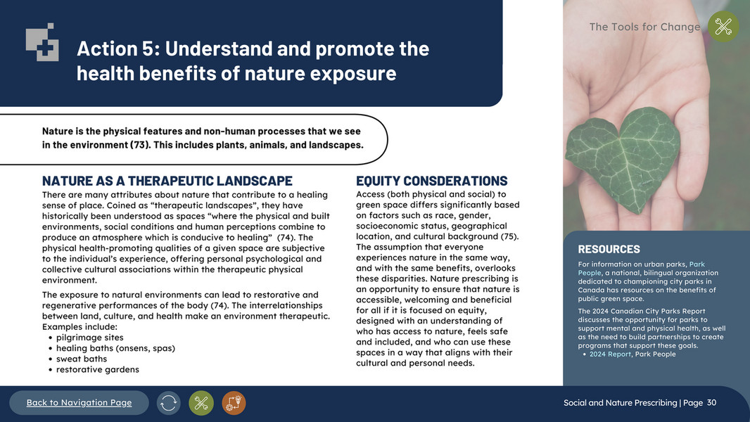 CASCADES - Social and Nature Prescribing playbook - Page 29