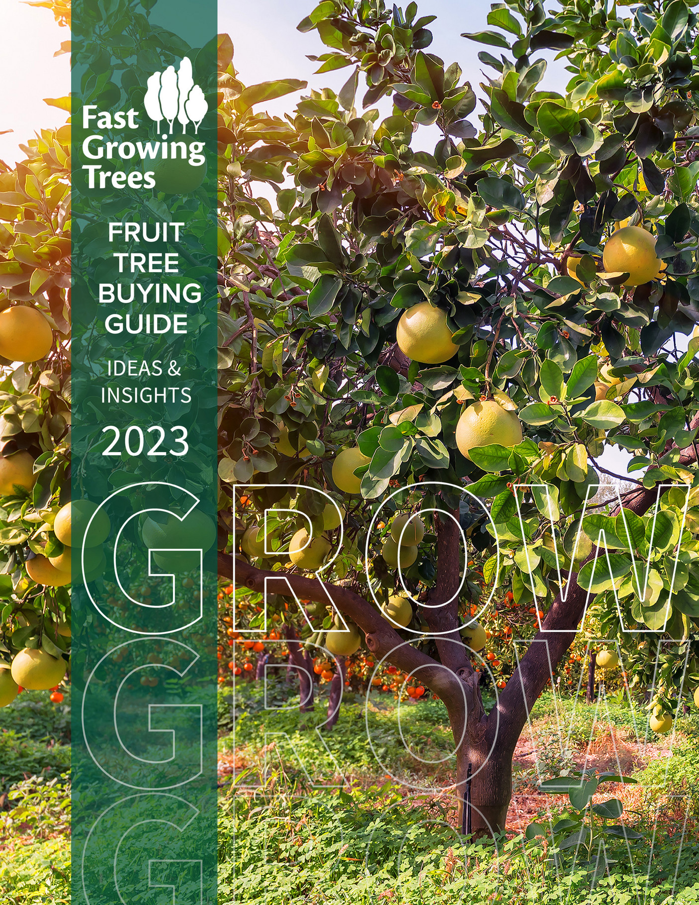 Fast Growing Trees Fruit Tree Buying Guide Page 1