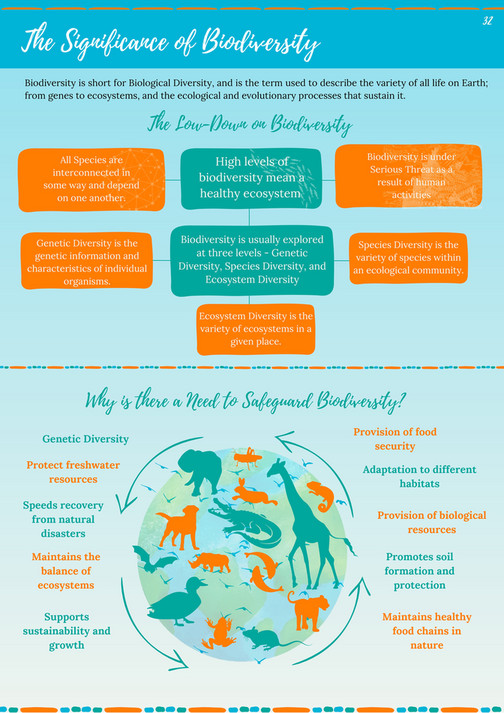 BCP - BCP 2022 Impact Report BCP - Page 34-35