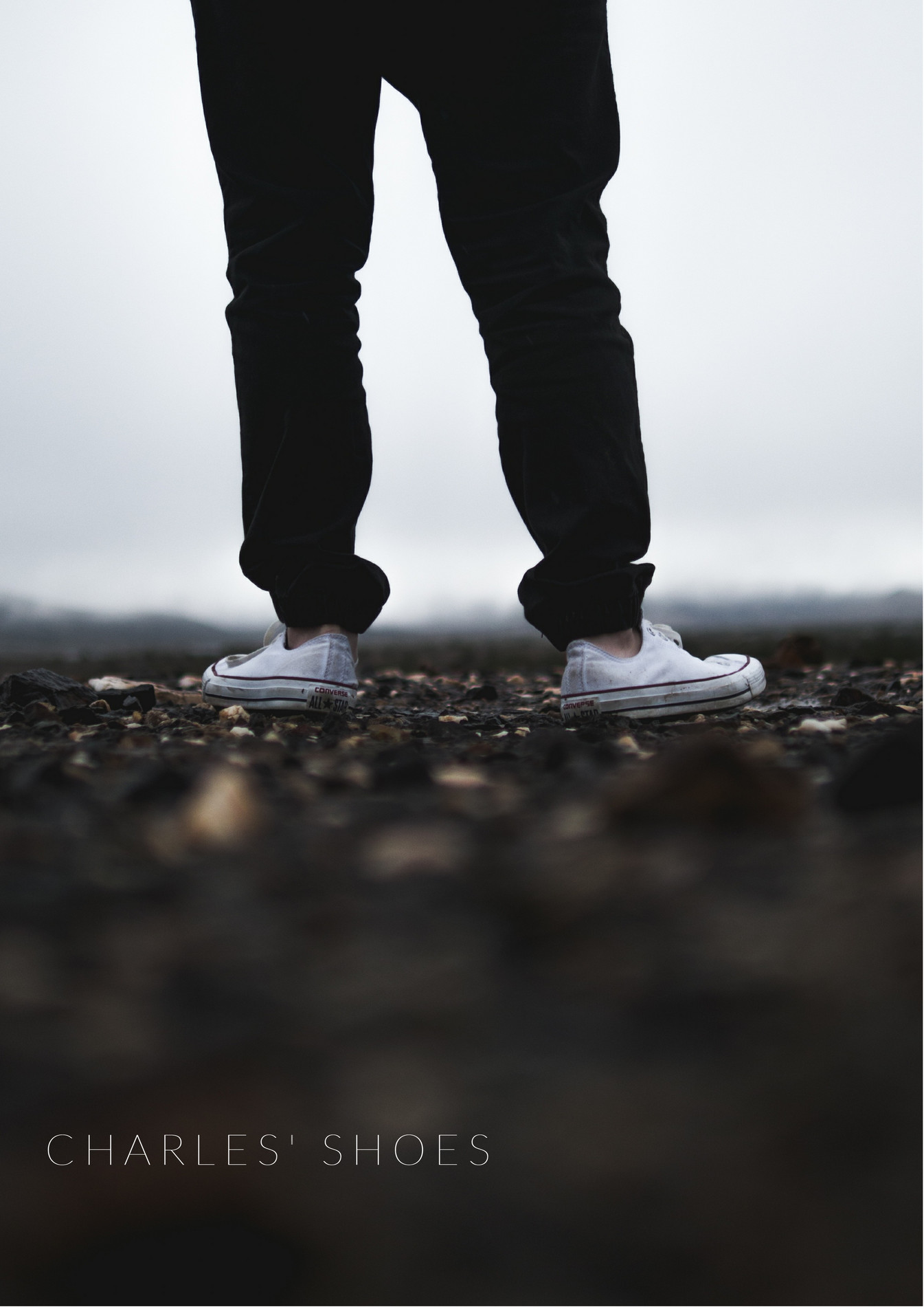 sir charles sneakers