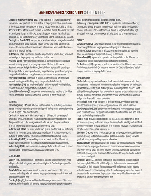 Ballyhoo Printing - Big Rok Angus 2025 - Page 1