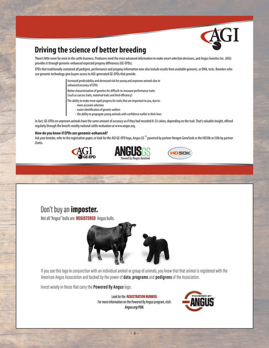 Ballyhoo Printing - Big Rok Angus 2025 - Page 1