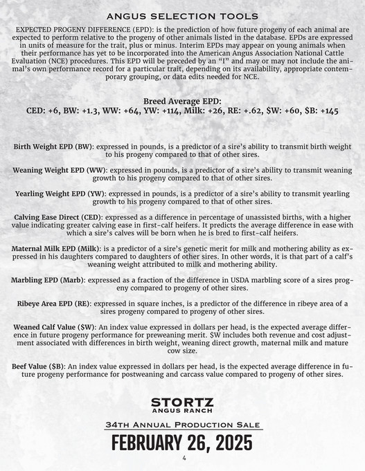 Ballyhoo Printing - Stortz Angus 2025 - Page 1