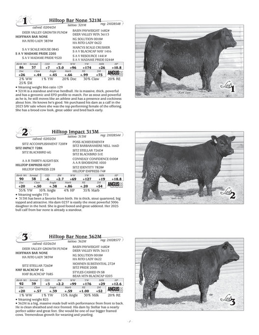 Ballyhoo Printing - Hilltop Angus 2025 - Page 10-11