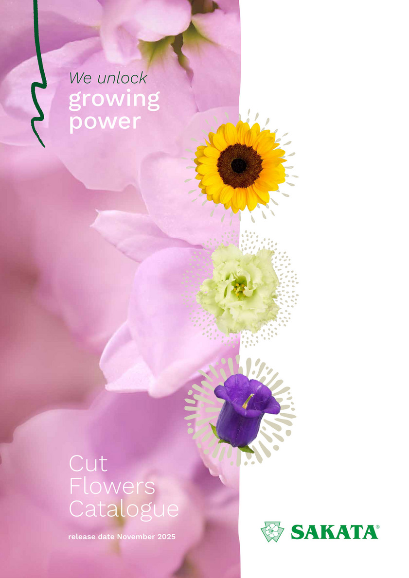 Sakata catalogue Cut Flowers 2025 - 2026 - Page 1
