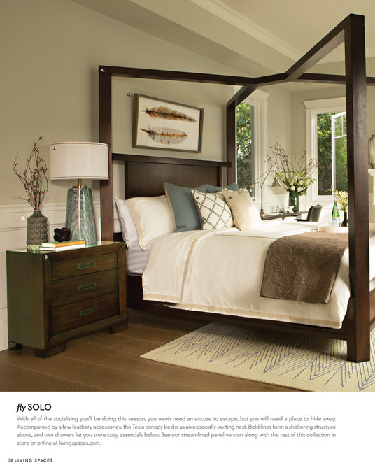 Living Spaces Catalog November 2018 Tesla California Living Spaces Catalog November 2018 Tesla California King Canopy W Storage Bed