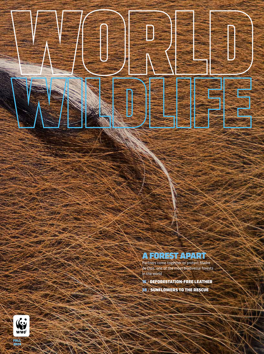 My publications - World Wildlife Magazine, Fall 2024 - Page 1