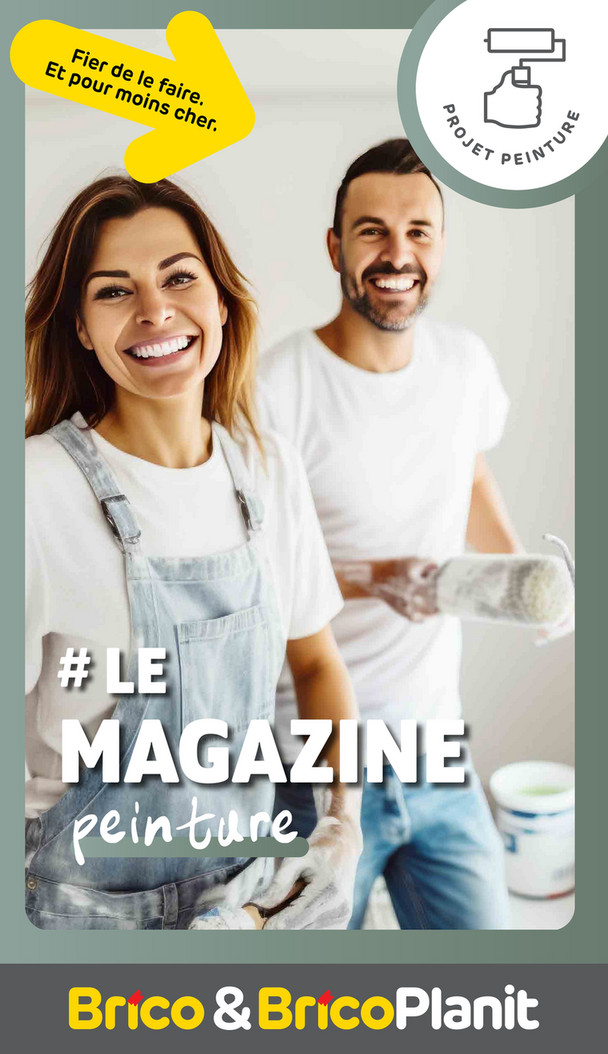 Magazine Peinture