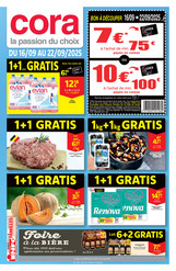 Binder FRA 16-09 Small