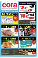 Binder NL 16-09 Small