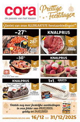 Binder NL 16_12 Small