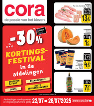 NL 22-07_V08 low