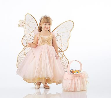 Pottery Barn Kids (PBK) - October 2017 - Pink Butterfly Fairy Toddler Costume, 3T Pottery Barn Kids (PBK) - October 2017 - Pink Butterfly Fairy Toddler Costume, 3T